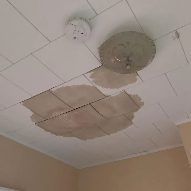 Ceiling Water Damage Repair in Old Brookville, NY