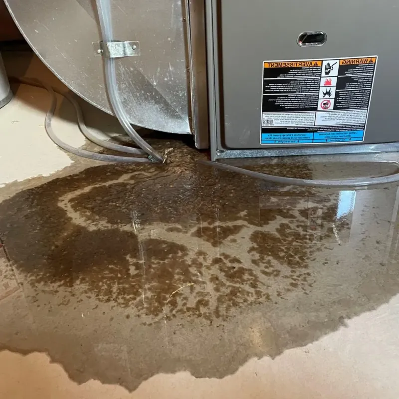 Pipe Burst and Leak Restoration in Old Brookville, NY